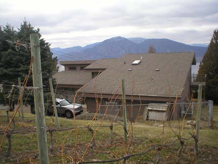 Naramata BC Vineyard and Home For Sale - Naramata, Canada - Wine Real Estate